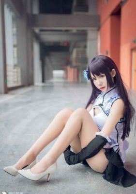 盒子里的猫综艺免费播放_4K超清在线观看