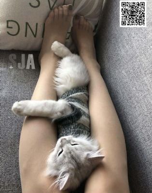 位于恋爱光谱极端的我们_4K全集免费观看