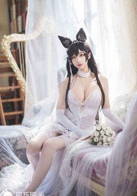 征服全集免费观看完整版_4K在线手机播放