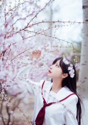 女同hd_超清免费高清观看
